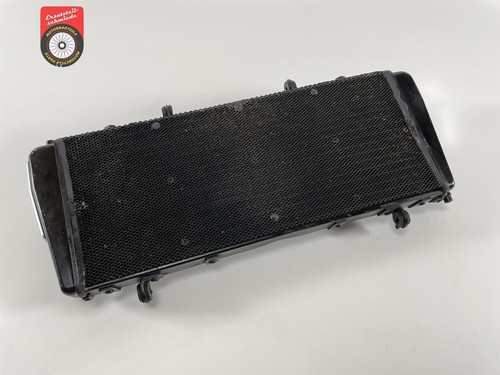 Radiatore acqua aprilia tuono - radiatore,