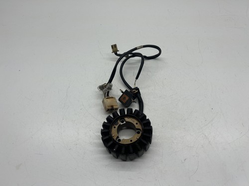 Statore alternatore magnete - statore,
