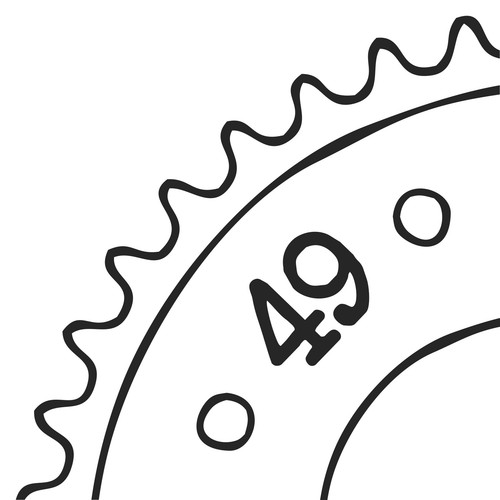 Pignone acciaio denti - acciaio, 49