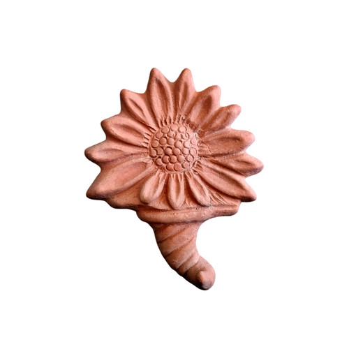 Cornucopia margherita