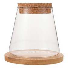  Mini Acquario Ampolla Per