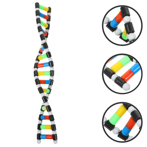 Doppia elica modello - , dna