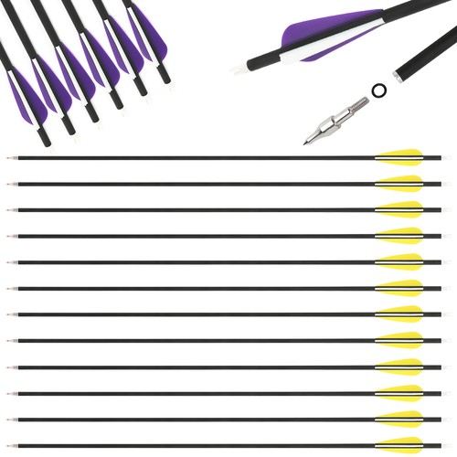 12x frecce carbonio 30 - frecce, in