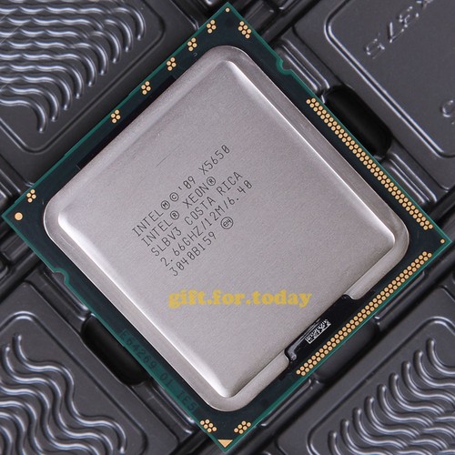 Cpu processore originale xeon - cpu,