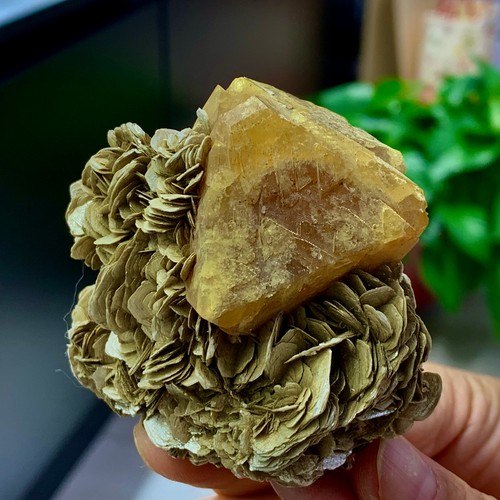 240g scheelite naturale - scheelite, +