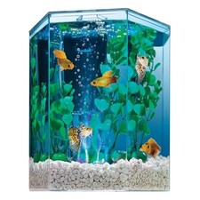 Tetra bubbling led - tetra,