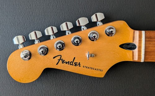 Lefty fender player - fender, plus