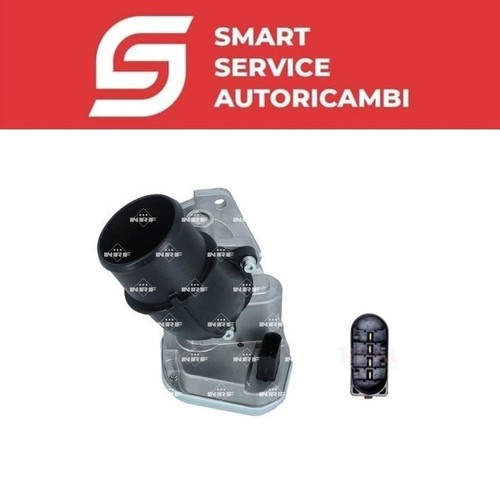 Corpo farfallato fiat - farfallato, ducato