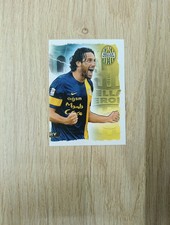 Figurina Calciatori Panini 2013-2014 New N D10 Luca Toni Hellas Verona