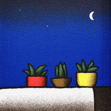 Tino STEFANONI:Serigrafia a