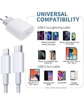 Caricatore rapido 20W +Cavo