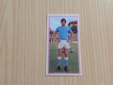 Figurina calciatori panini - figurina,