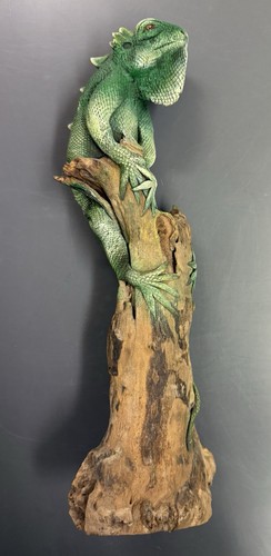 Large green iguana - large, lizard