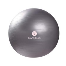 FITBALL 65 CM PALLA FITNESS