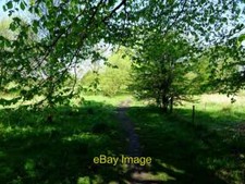Photo 12x8 shady footpath - footpath, a