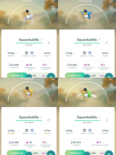 Pokémon squawkabilly - pokémon,