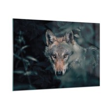 Quadro su Vetro 100x70cm Lupo foresta predatore Stampe Immagini Moderni Murale