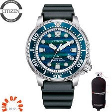 CITIZEN BN0167-09W Promaster