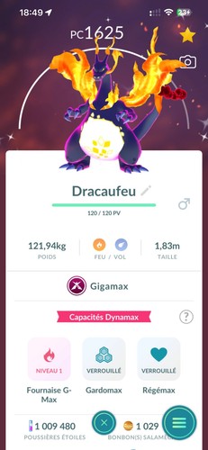 Pokémon go shiny gigamax - go,