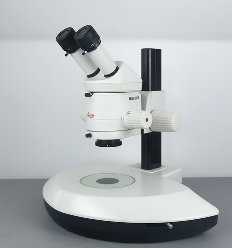 Leica mz6 microscopio - su, base