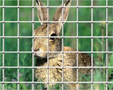 Confine Rete Recinzione