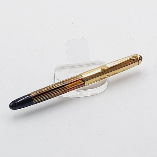 Penna stilografica stantuffo - penna,