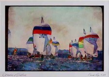 Sailing 338006 J 24's Parade