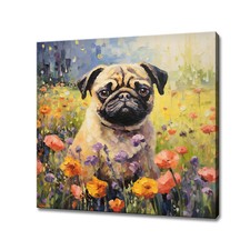 Carino cane - carino,
