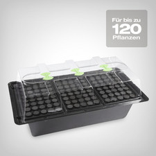 Nutriculture X-Stream
