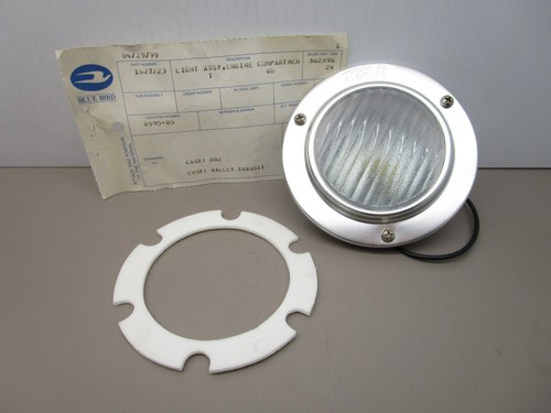 Bluebird 1627223 gruppo - bluebird,