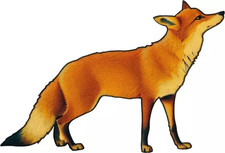 Moneta oro 2025 Congo .999