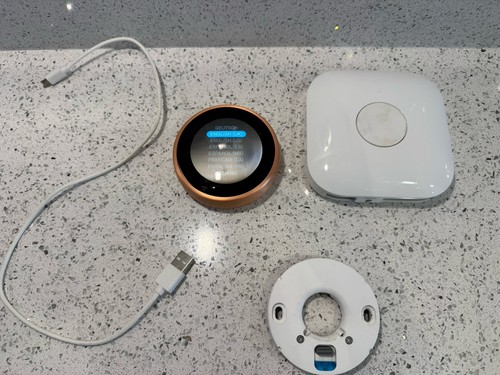 Google nest learning - google,