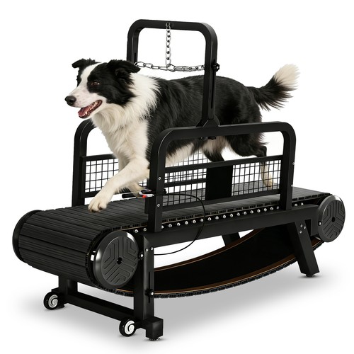 Tapis roulant per cani medi - per,
