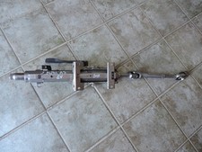 CANNA DELLO STERZO (PIANTONE)