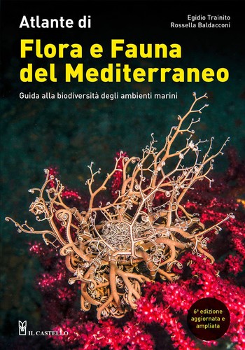 Atlante flora fauna - atlante, di
