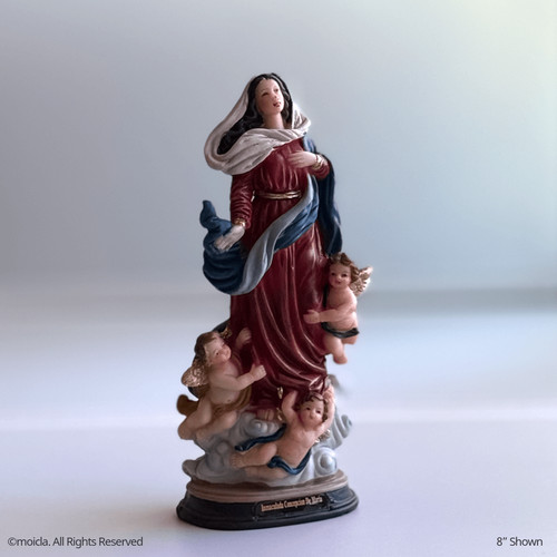 Statua resina immacolata - statua, in