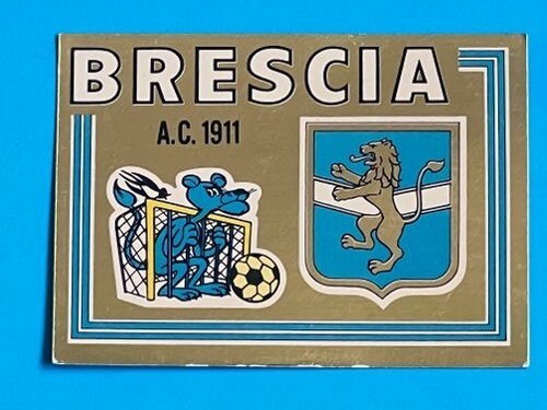 Brescia 421 shield figure - shield,
