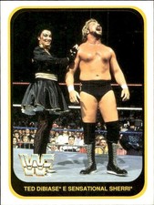 card wwf wrestling merlin 1991