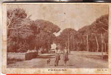 CARTOLINA  FREGENE FP NON