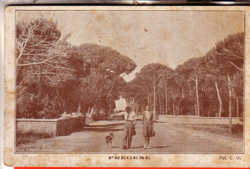 Cartolina fregene non - ,