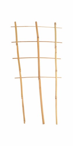 Buri spalier bambù cm - in,