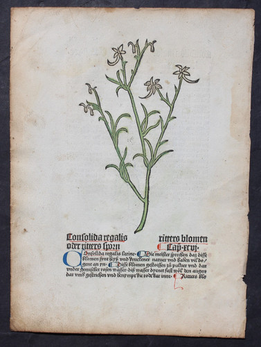 Incunabel johannes de - incunabel,,
