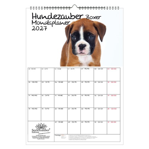 Planner boxer magico per cani - boxer,