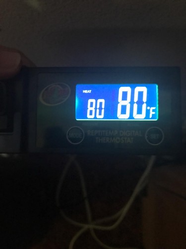 Regolatore temperatura - regolatore,