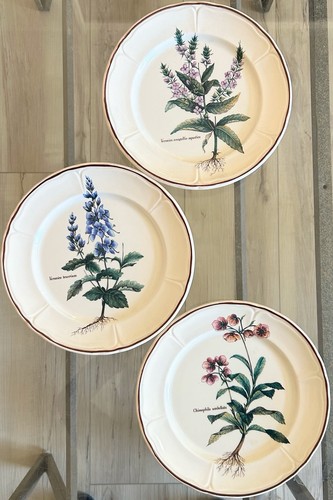 Villeroy boch botanica - boch,