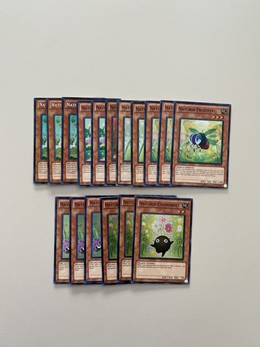 Deck core naturia cards - deck,