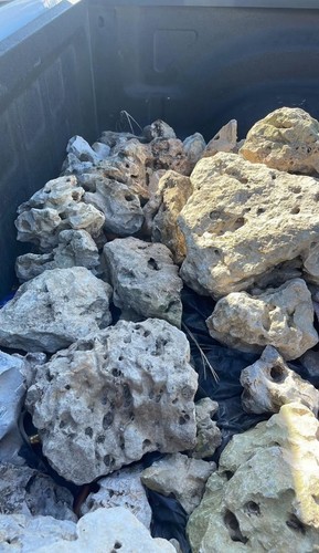 Texas holey rock acquario - texas,