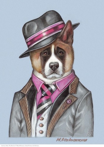 American akita stampa - akita,