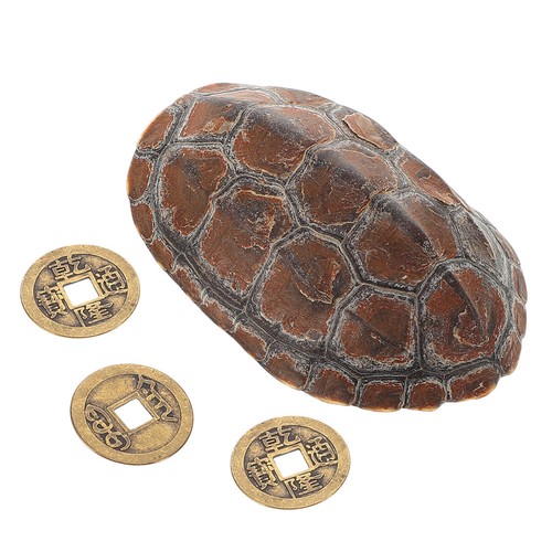 Guscio tartaruga metallo - di,