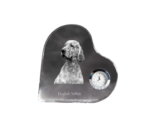 Setter inglese orologio - , a
